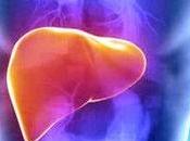 Fegato suoi disturbi: aiuto dagli essenziali
