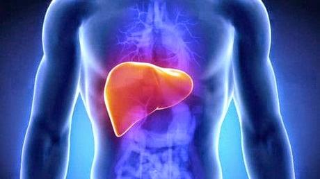 Fegato e suoi disturbi: un aiuto dagli oli essenziali