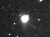 Griseldis: colpito affondato