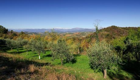 QUARIN : montagne a bassa quota – a piedi sul Collio