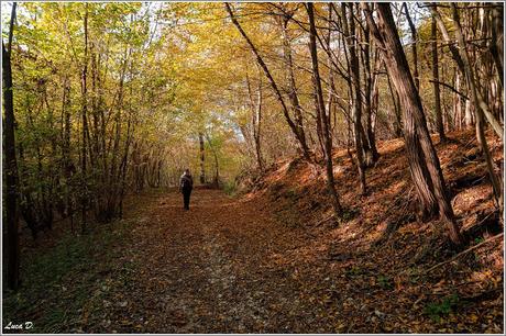 QUARIN : montagne a bassa quota – a piedi sul Collio