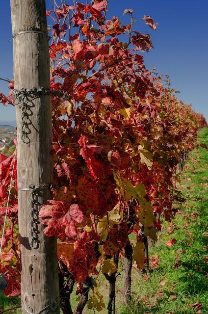 QUARIN : montagne a bassa quota – a piedi sul Collio