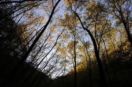 QUARIN : montagne a bassa quota – a piedi sul Collio