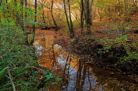 QUARIN : montagne a bassa quota – a piedi sul Collio