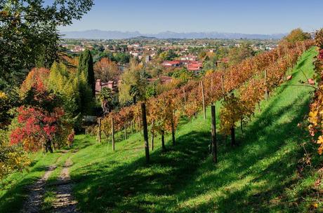 QUARIN : montagne a bassa quota – a piedi sul Collio