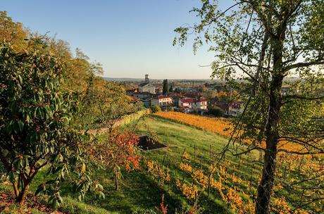 QUARIN : montagne a bassa quota – a piedi sul Collio