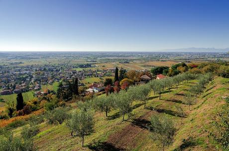 QUARIN : montagne a bassa quota – a piedi sul Collio