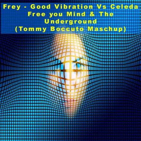 Frey - Good Vibration Vs Celeda Free You Mind & The Underground (Tommy Boccuto Maschup)