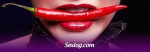 sexlog_logo