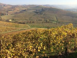 Tartufi e Vini = week end nelle Langhe