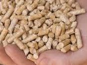 13/11/2015 Stufe pellet. Attenzione legno!