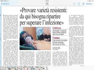 Rassegna stampa Xylella