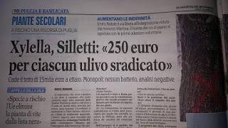 Rassegna stampa Xylella