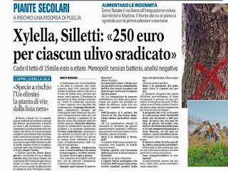 Rassegna stampa Xylella