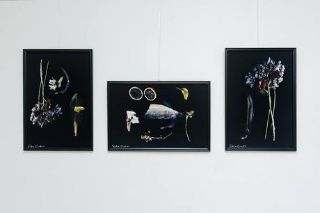 Flowery _ Silvia Coccaglio at Molin Corvo Gallery at Joyce Gallery Paris
