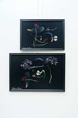 Flowery _ Silvia Coccaglio at Molin Corvo Gallery at Joyce Gallery Paris