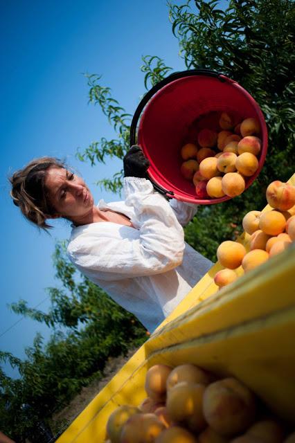 Azienda Agricola Boschi Chiara - passare dall’agricoltura convenzionale a quella bio