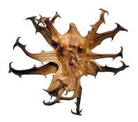 Artiglio del Diavolo, potente antidolorifico naturale e non solo