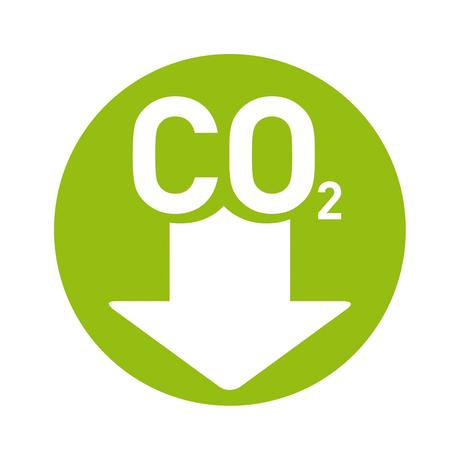 CO2 ed il contributo dell'Efficienza Energetica