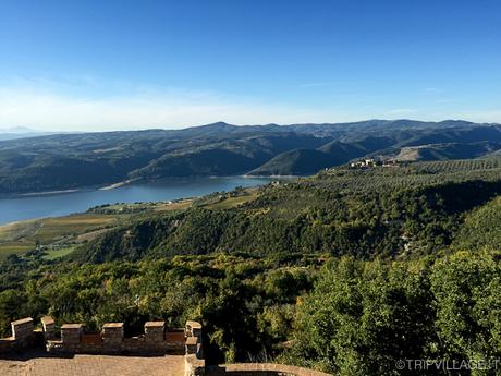 #oliAMO – Glamping in Umbria tra olio e natura