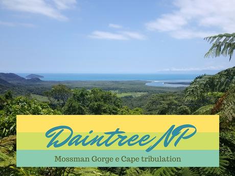 Queensland: Daintree NP, Mossman Gorge, Cape Tribulation