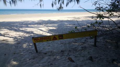 Queensland: Daintree NP, Mossman Gorge, Cape Tribulation