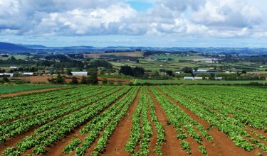 I giovani sardi riscoprono la campagna