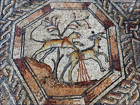 Scoperto un altro mosaico a Lod, in Israele