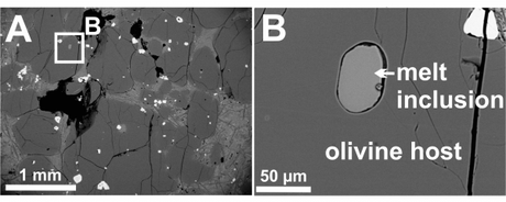 Immagine ottenuta con un microscopio elettronico a scansione di una picrite dell’Isola di Baffin, un tipo di roccia basaltica. Il minerale olivina, qui mostrato a sinistra nella figura A, ospita una serie di inclusioni fuse di vetro che contengono minuscole quantità di acqua la cui origine proviene dalle parti profonde del mantello terrestre (figura B). Crediti: Lydia J. Hallis. Fonte Media INAF