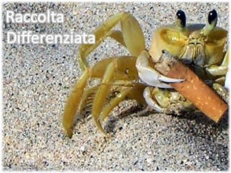 Rifiuti in mare minaccia per l'Ambiente