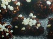 biscotti cioccolato