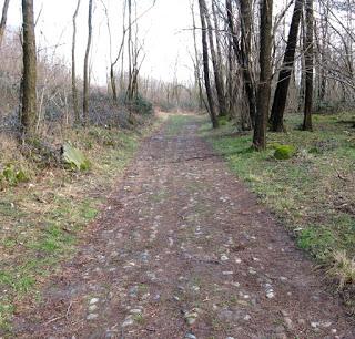 Le strade del medioevo: da Erba a Monteriggioni