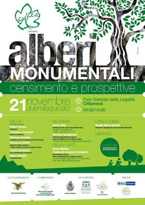 A Cittanova (RC), il convegno Alberi Monumentali censimento e prospettive.