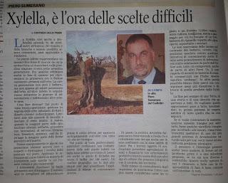 Rassegna stampa Xylella e Cesine del 17 novembre 2015