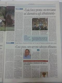 Rassegna stampa Xylella e Cesine del 17 novembre 2015