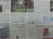 Rassegna stampa Xylella Cesine novembre 2015