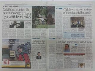 Rassegna stampa Xylella e Cesine del 17 novembre 2015