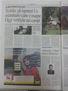 Rassegna stampa Xylella e Cesine del 17 novembre 2015