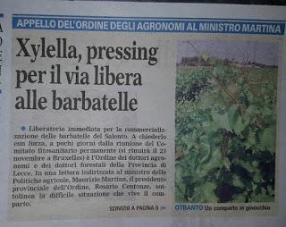 Rassegna stampa Xylella e Cesine del 17 novembre 2015