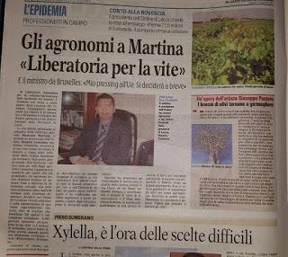 Rassegna stampa Xylella e Cesine del 17 novembre 2015
