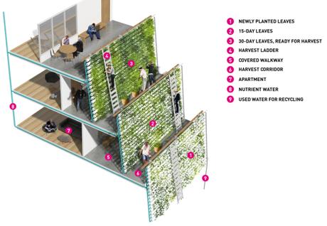 Home-Farm_Spark_retirement-housing_Southeast-Asia_World-Architecture-Festival-2015_dezeen_4_