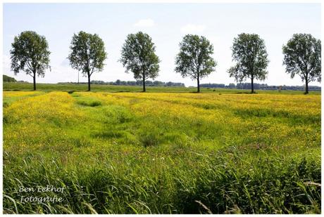 fotografia di paesaggio