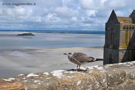 Parigi e un gabbiano a Mont Saint Michel