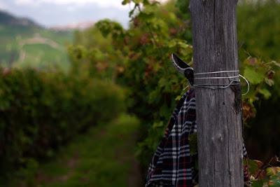 Torino, la collina e il mare