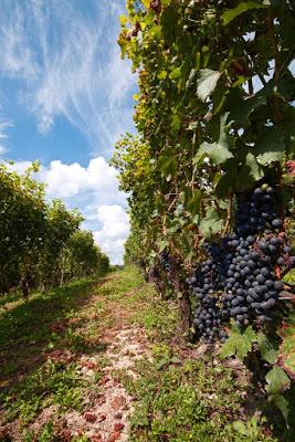 Torino, la collina e il mare