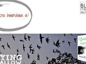 micro intervista Flying Swallow