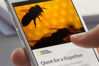 [News] Sbarca In Italia Facebook Instant Articles, Scopriamo Cos'è