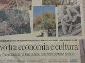 Xylella novembre 2015