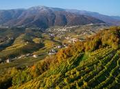 Conegliano valdobbiadene, città europea vino