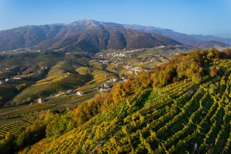 CONEGLIANO VALDOBBIADENE, CITTÀ EUROPEA DEL VINO